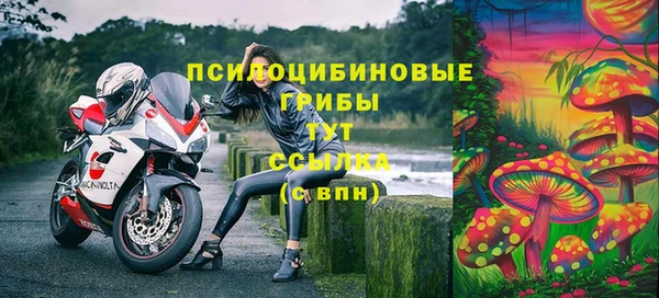 метадон Богданович