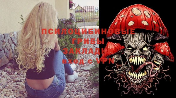 метадон Богданович