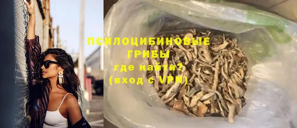 метадон Богданович