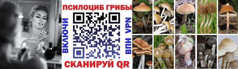 гидра зеркало  Нытва  Галлюциногенные грибы мицелий 